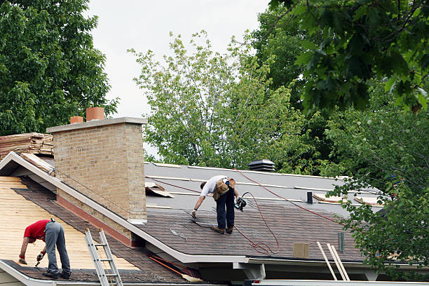 Roof Gutter Cleaning in Hillcrest, IL